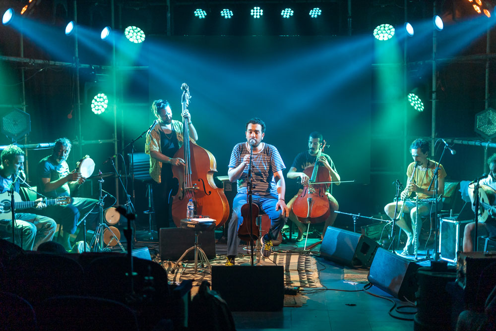 elussa-260126 (6).jpg